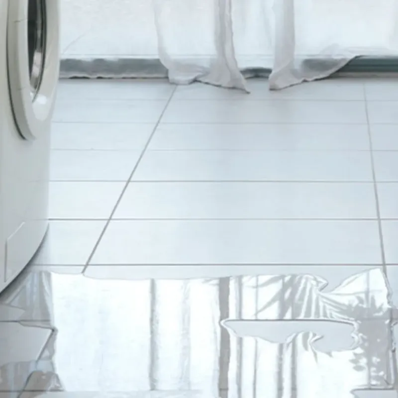 Appliance Leak Cleanup in Greenville, CA